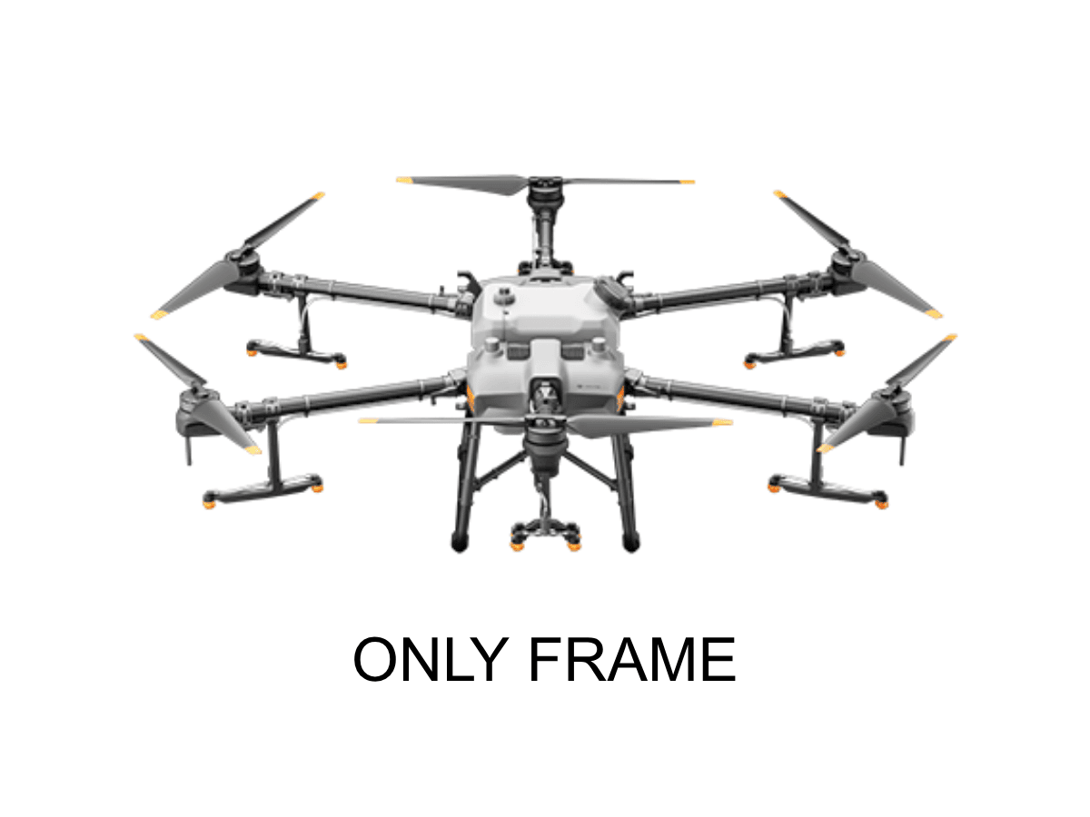 ONLY FRAME